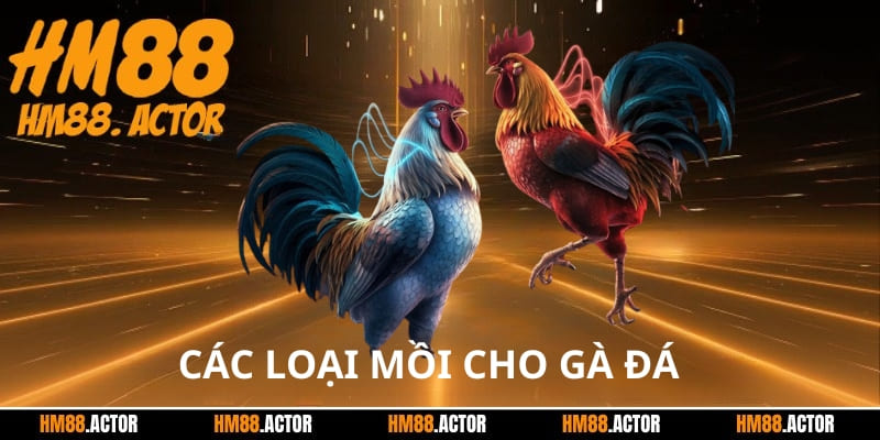 Các loại mồi cho gà đá là gì?