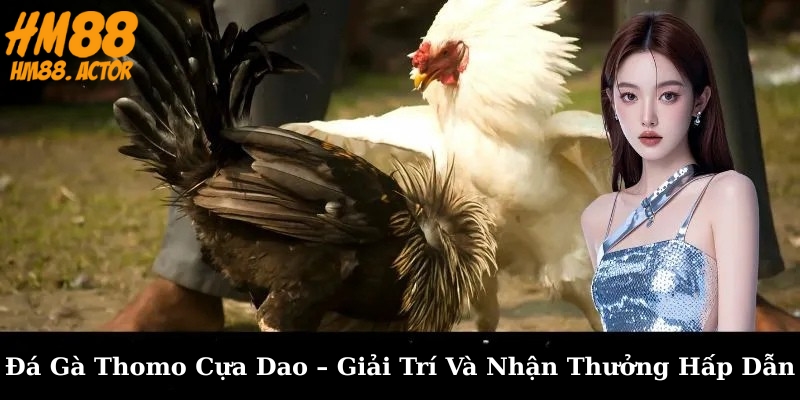 🐓 Đá Gà Thomo Cựa Dao – Giải Trí Và Nhận Thưởng Hấp Dẫn